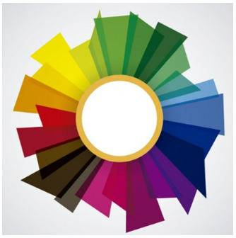 Color and Visual Branding