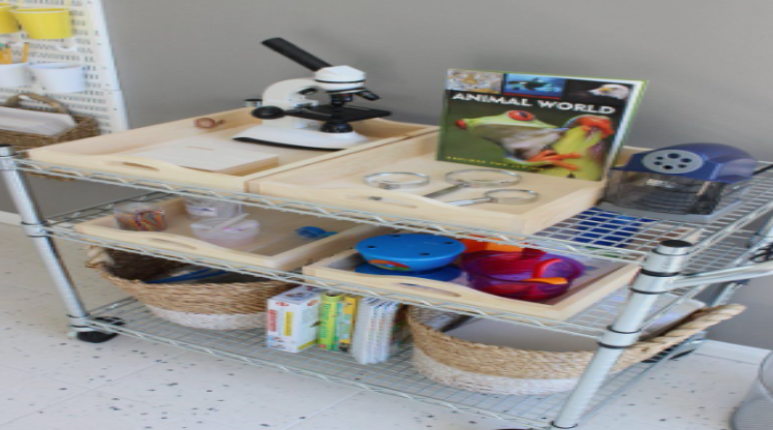 Home Science Library Safe Home Science Lab for Students| 7 Essential Steps