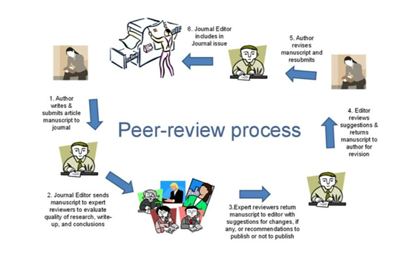 Peer Review Networks for Non-Academic Writers