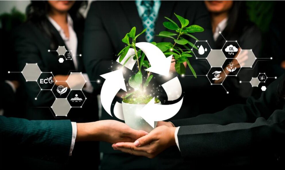 Consulting for circular economy compliance